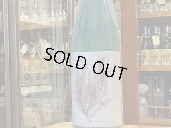 画像2: 白隠正宗　純米酒生酛 誉富士ひやおろし　26BY　720ml (2)