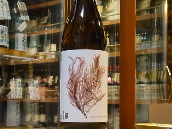 画像2: 白隠正宗　純米酒生酛 誉富士ひやおろし　28BY　1.8L (2)