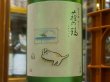 画像1: 萩の鶴　純米吟醸 別仕込　真夏の猫　R2BY (要冷蔵)　720ml (1)