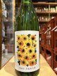 画像2: 日輪田　生酛純米　ひまわりラベル　(要冷蔵) R6BY　1.8L (2)