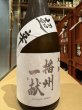 画像2: 播州一献　純米　超辛　火入　720ml (2)