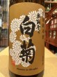 画像1: 奥能登の白菊　特別純米　720ml (1)